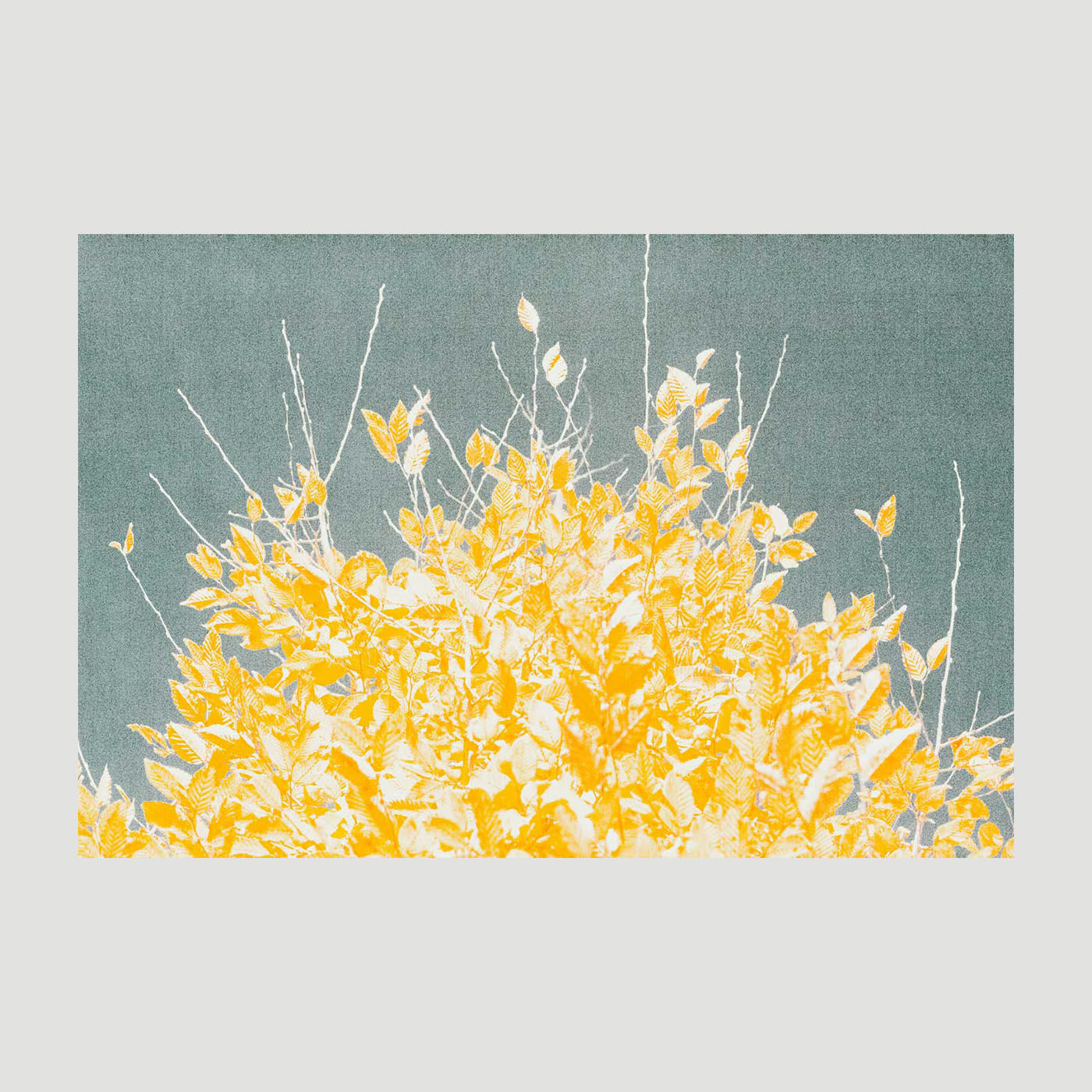 Antonia Wechner - Nr. 1, "oszillieren!"