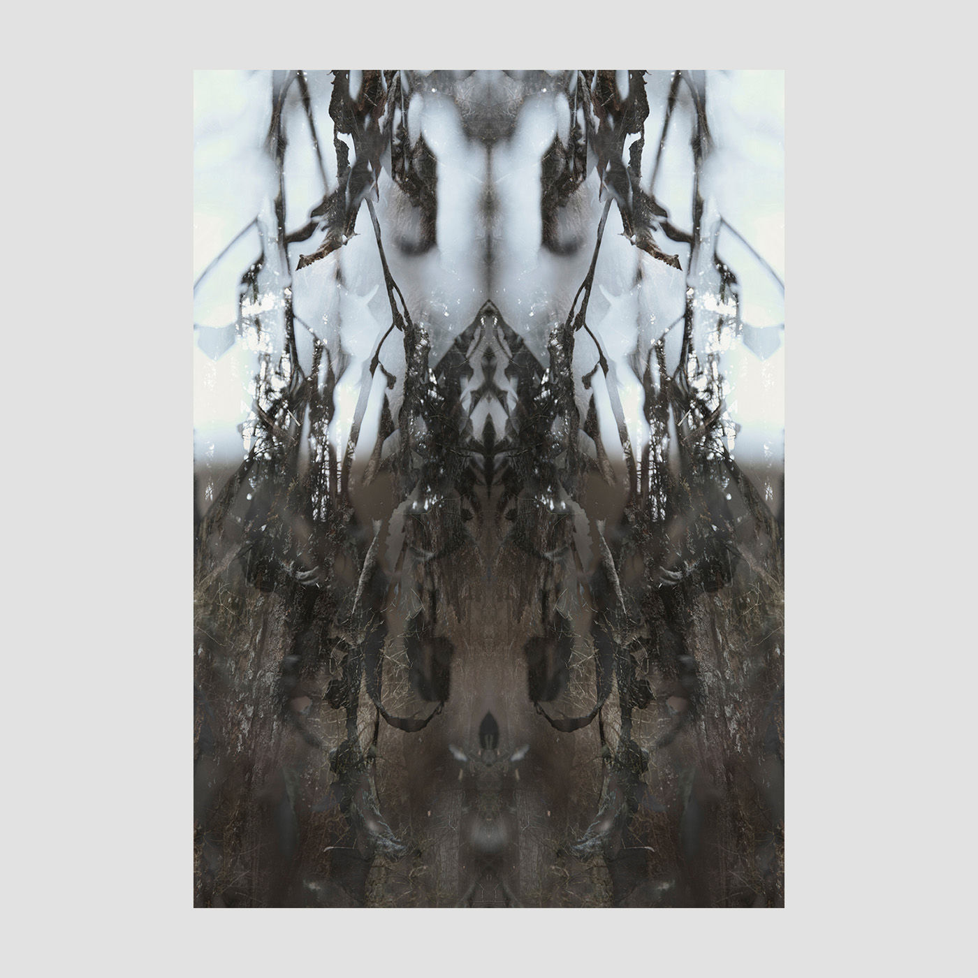 Natascha Reiterer - Rohrschach