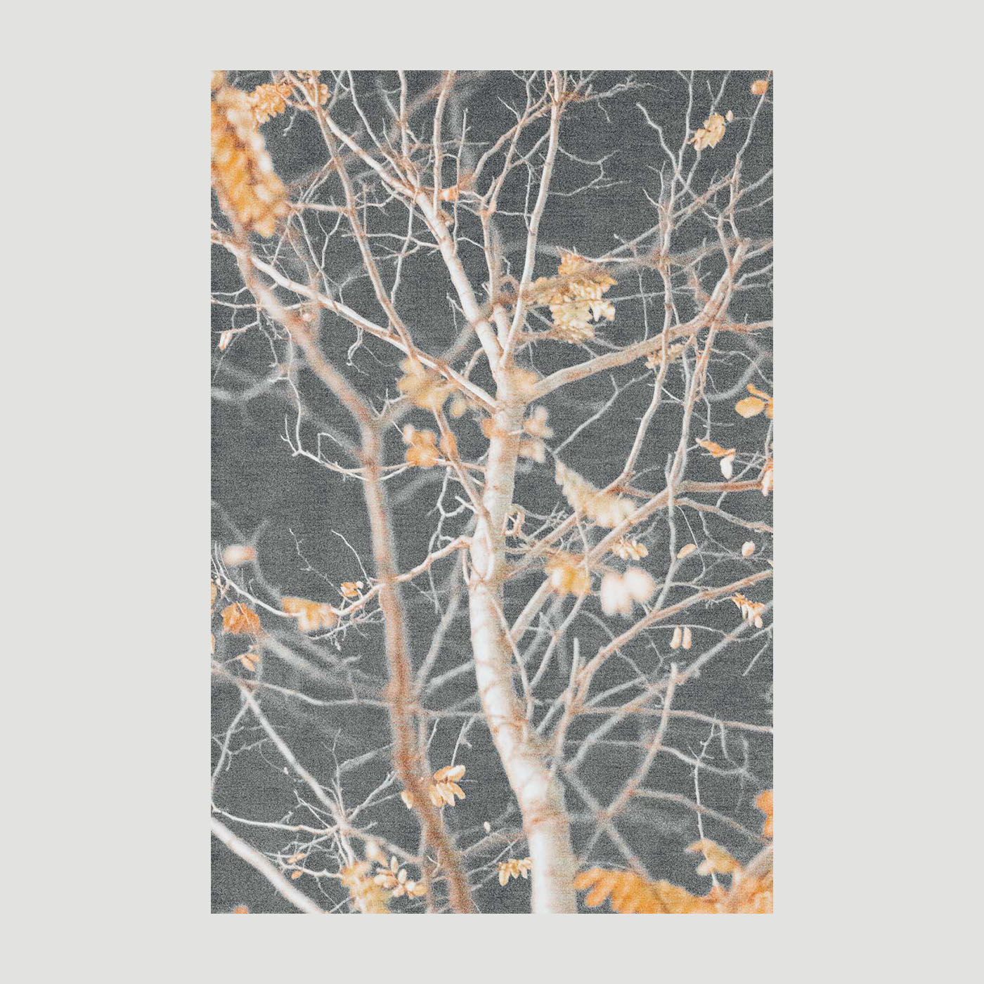 Antonia Wechner - Nr. 2, "oszillieren!"