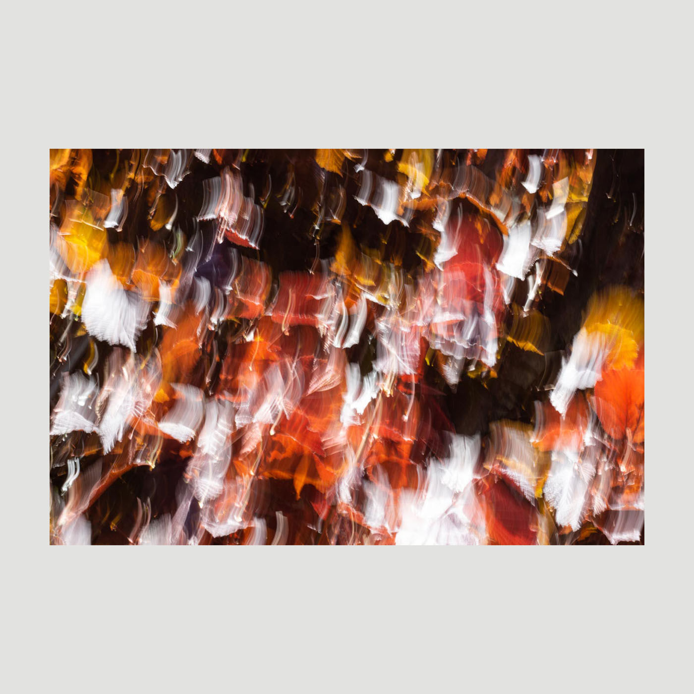 Antonia Wechner - Nr. 49, "bis alles scheint"