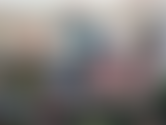 Cyber Hygiene Awareness Session for NSS Volunteers of Government PG College Pabau