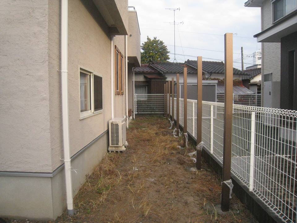 植樹前
