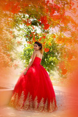 IMG_1295 copy_pp
