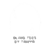 newblinglogowhite.gif