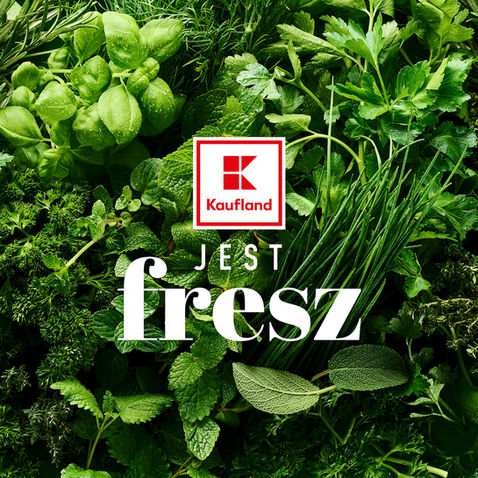 Frische Kräuter formatfüllend – Kaufland „Jest fresz“, Foodfotografie von Andreas Reimann
