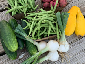 On a weathered wooden table sit a box of small red potatoes, 2 small boxes of green beans, 4 cucumbers, 4 onions and two yellow squash