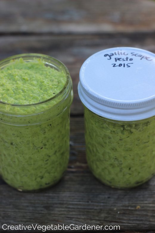 Garlic-Scape-Pesto