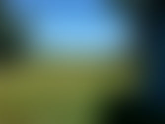 A landscape of green fields with a tree on the left, two wooden outbuildings on the right and a dog standing in the shade