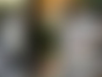 Why Rothaus Tannenzäpfle is My Favorite Tap Beer at Fränzel in Goshen