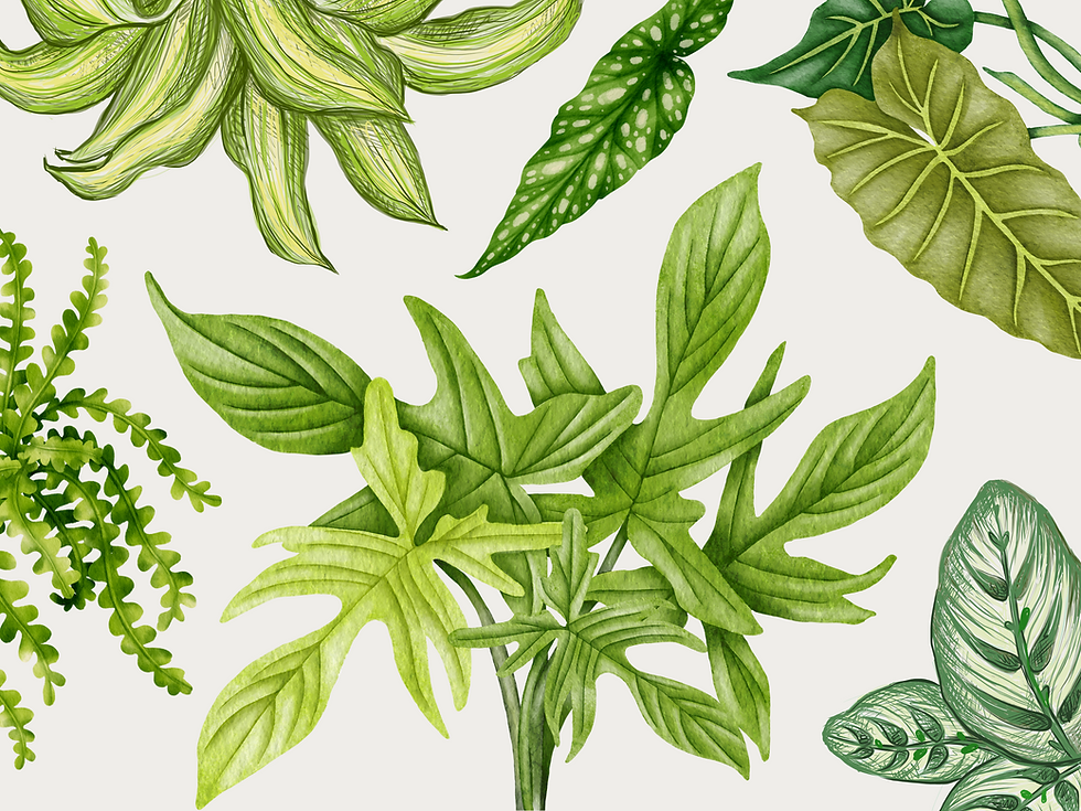Visual inspiration showcasing elements of nature-inspired brand design, including earthy colors, organic textures, natural imagery, sustainable practices, and biophilic elements.