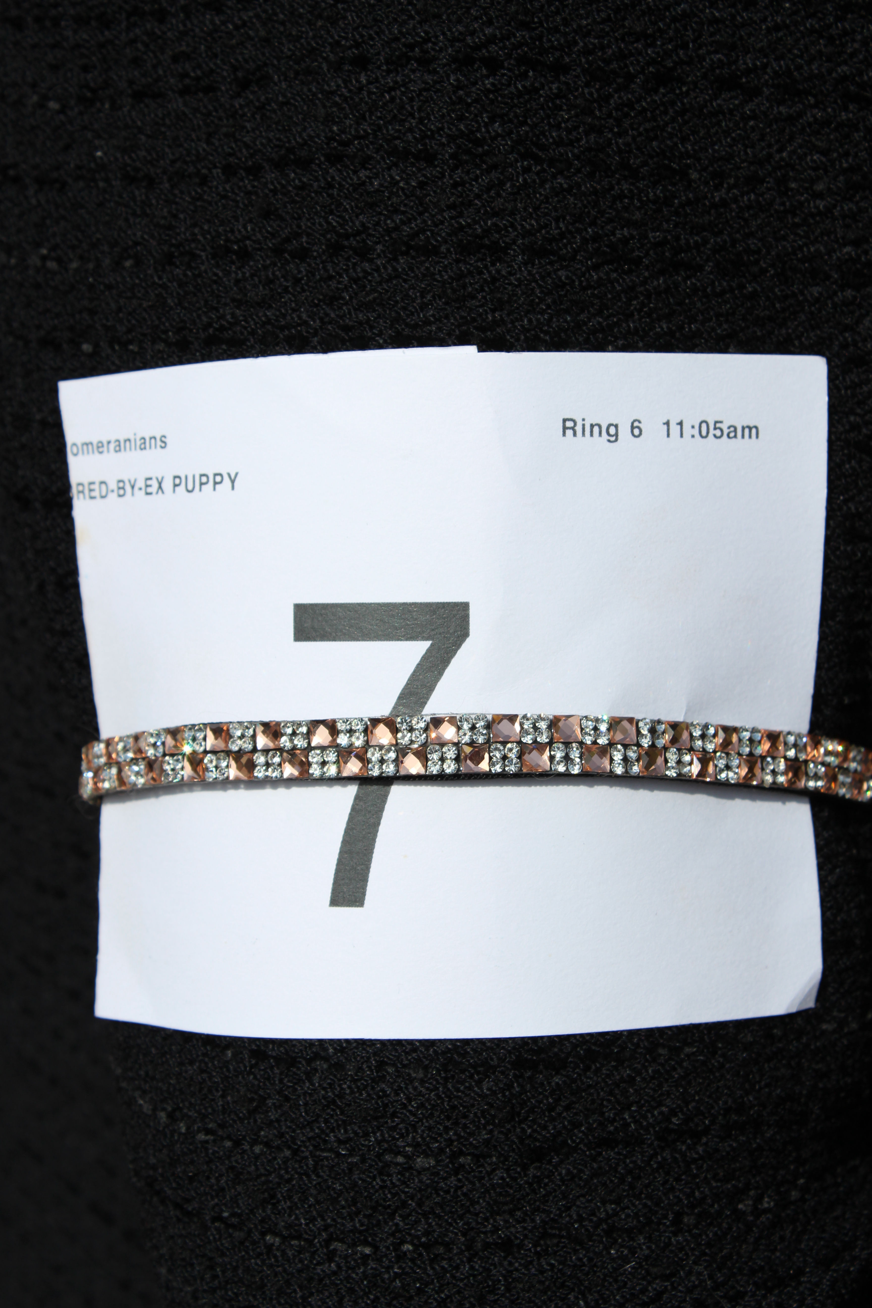 Rose Gold Checkerboard Arm Treat