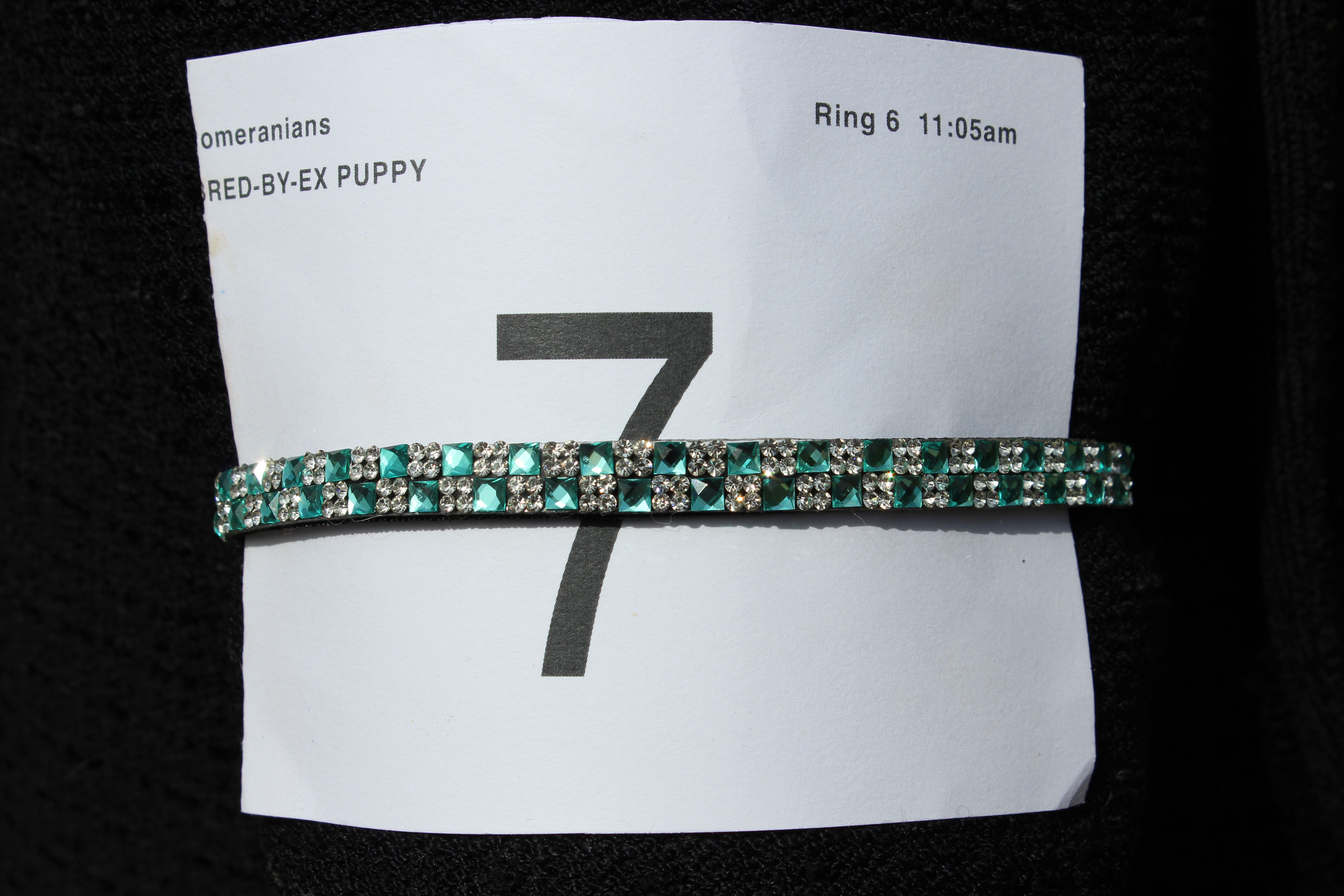 Turquoise Checkerboard Arm Treat