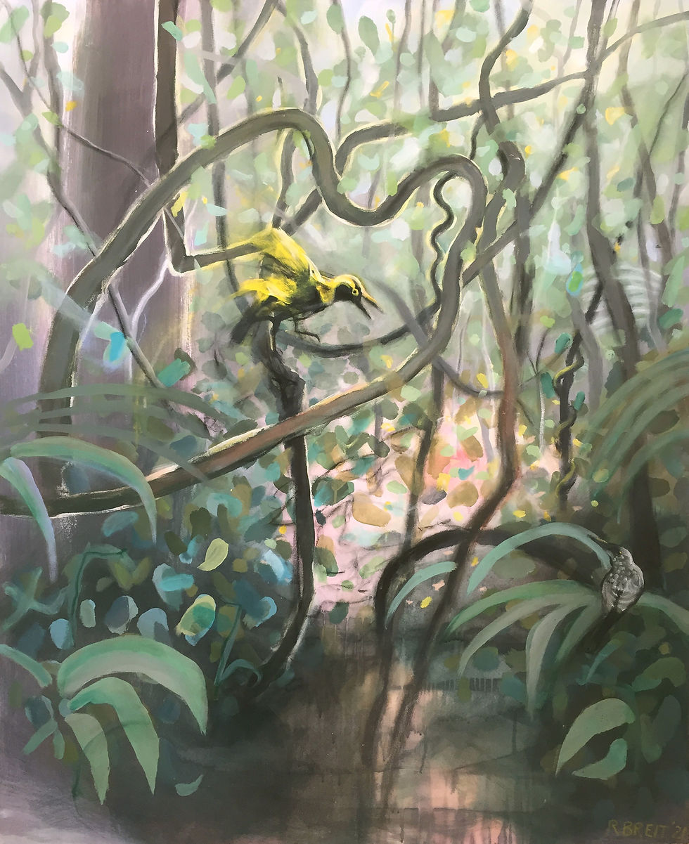 regent bowerbird