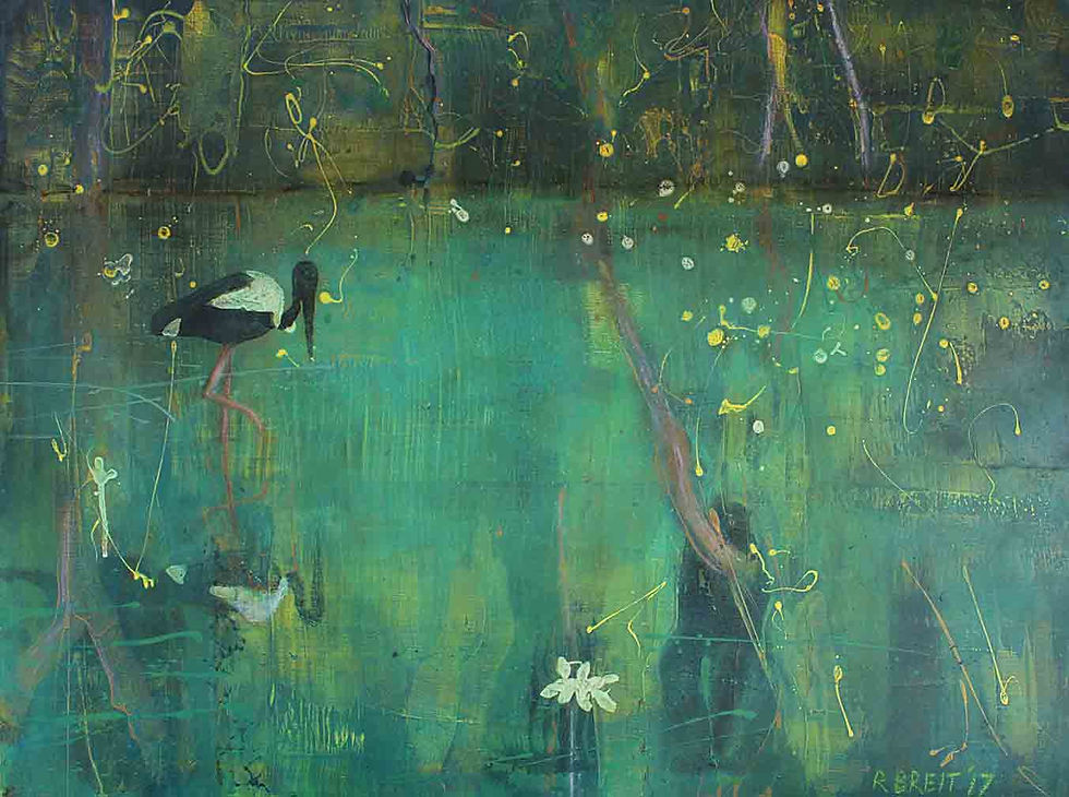 Jabiru-pond