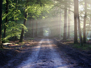 VON STEIG unterstützt … 