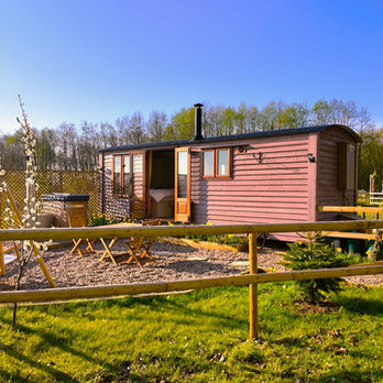 shepherds hut, york, hot tub, farm stay, yorkshire, pocklington, glamping, barmby moor, wilberfoss, alpaca experience, stay with alpacas 