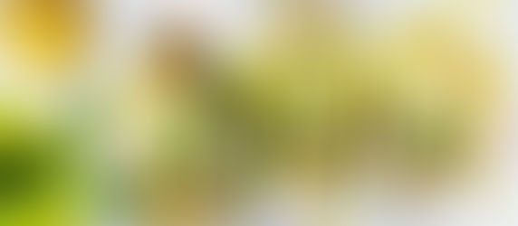 Prawn and avocado tacos