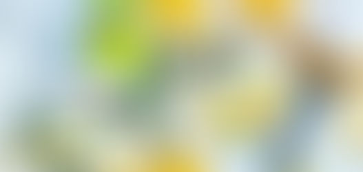 Avocado on toast with hummus and poached eggs