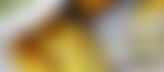 Murg Chicken Lasooni Tikka