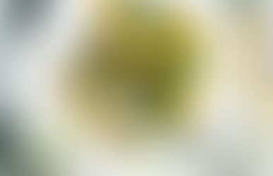 Sesame crusted fish with lemon zest and Asian greens.