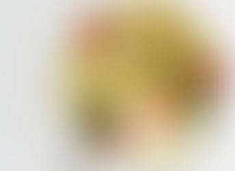 Fettuccini in a lemon garlic rosemary sauce with fresh mozzarella