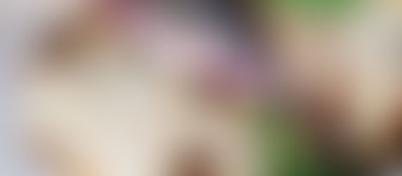 Murg chicken malai tikka