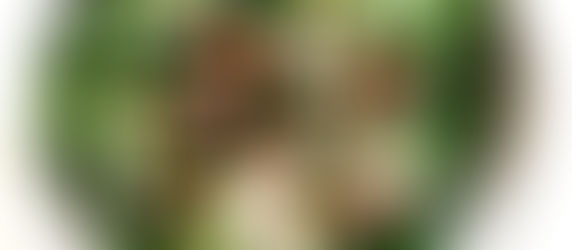 Garlicky kale & chickpea salad with a lemon and tahini dressing