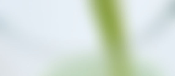 Creamy kale banana and pineapple smoothie