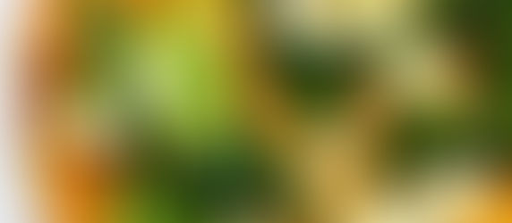 Cheat's pizza with kale and fresh mozzarella