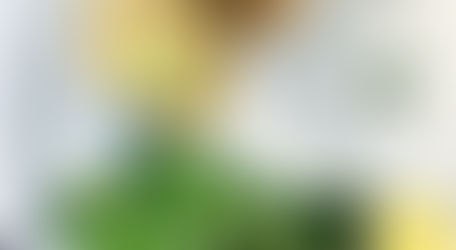 Turnip and sweet potato cutlets topped with a creamy pea puree