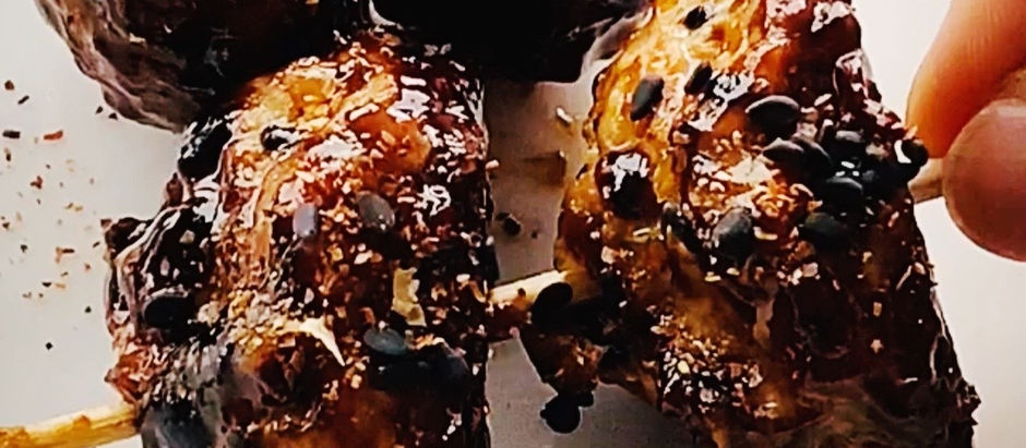 Japanese Chicken Tsukune