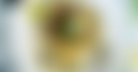 Pan seared fish with coriander rice