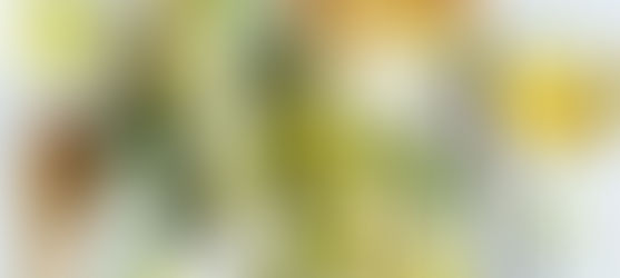 Grilled avacado sandwich with cucumber and micro greens