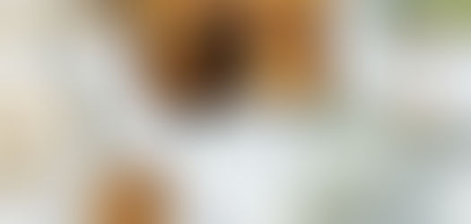 Healthy oatmeal muffins