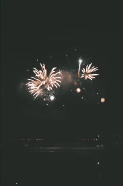 gif4-ezgif.com-video-to-gif-converter.gif