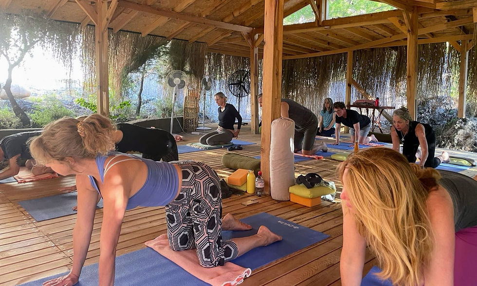 Pilates by the Lagoon