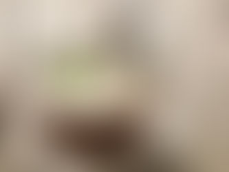 Bechamel (white sauce)