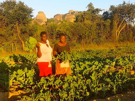 Implementing a gender-inclusive and climate-compatible development model in Zimbabwe