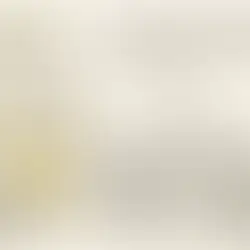 Programa Sectorial de Trabajo y Previsión Social 2025-2030