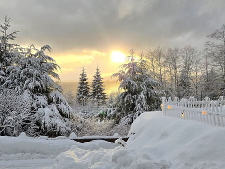 April Newsletter MbM