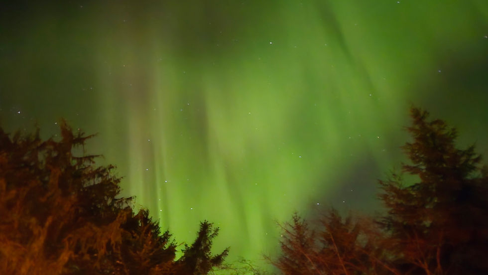 March Newsletter MbM