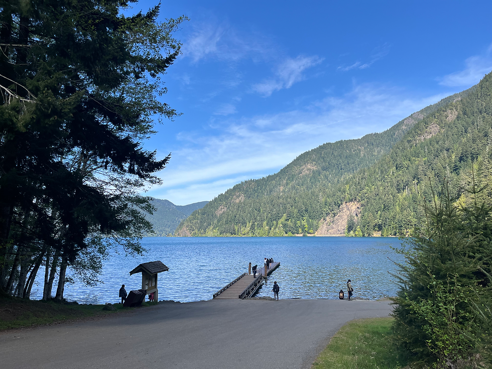 Lake Crescent - Olympic National Park