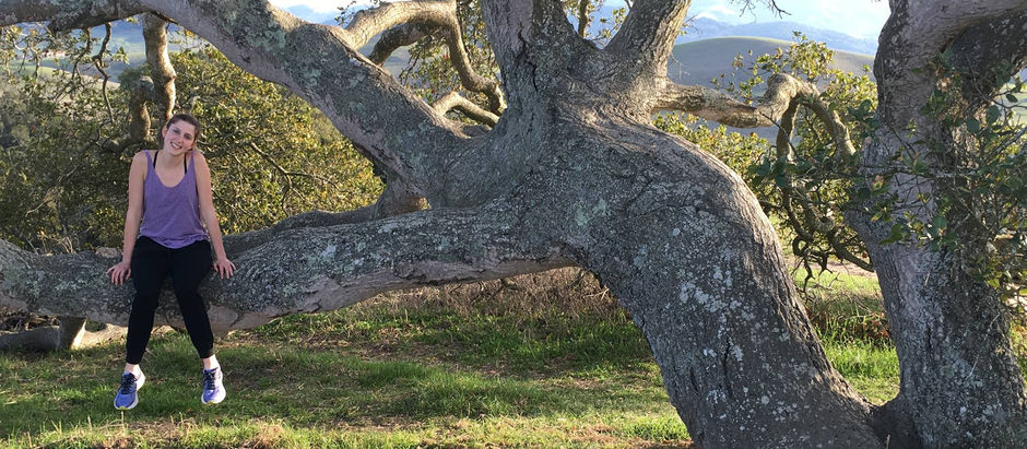 A Walk on the Wild Side at Helen Putnam Regional Park