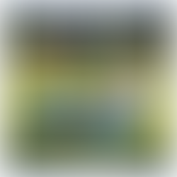 Best Youth Soccer Equipment for Kids in 2025 (Amazon Picks)