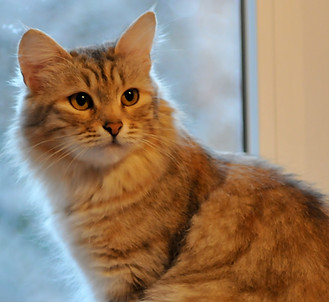 DSC_5780 — kopia.JPG