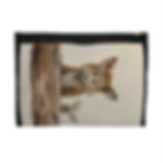 Thumbnail: Woodland Fox Accessory Pouch