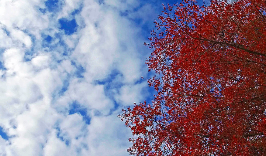 HOME Coffey & Thompson Gallery