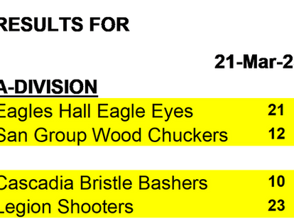 Round 2 Week 5 Dart Action