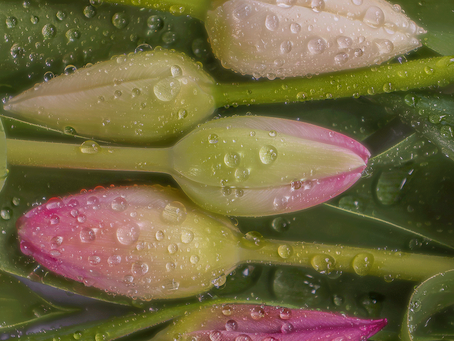 Sparking Momentum & Progress