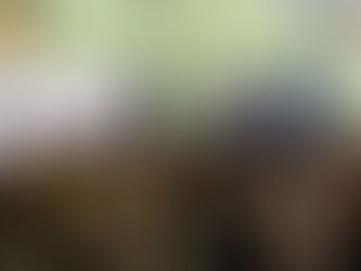 She Leads | The Credible Leadership Brand: Influence You Don’t Have to Introduce